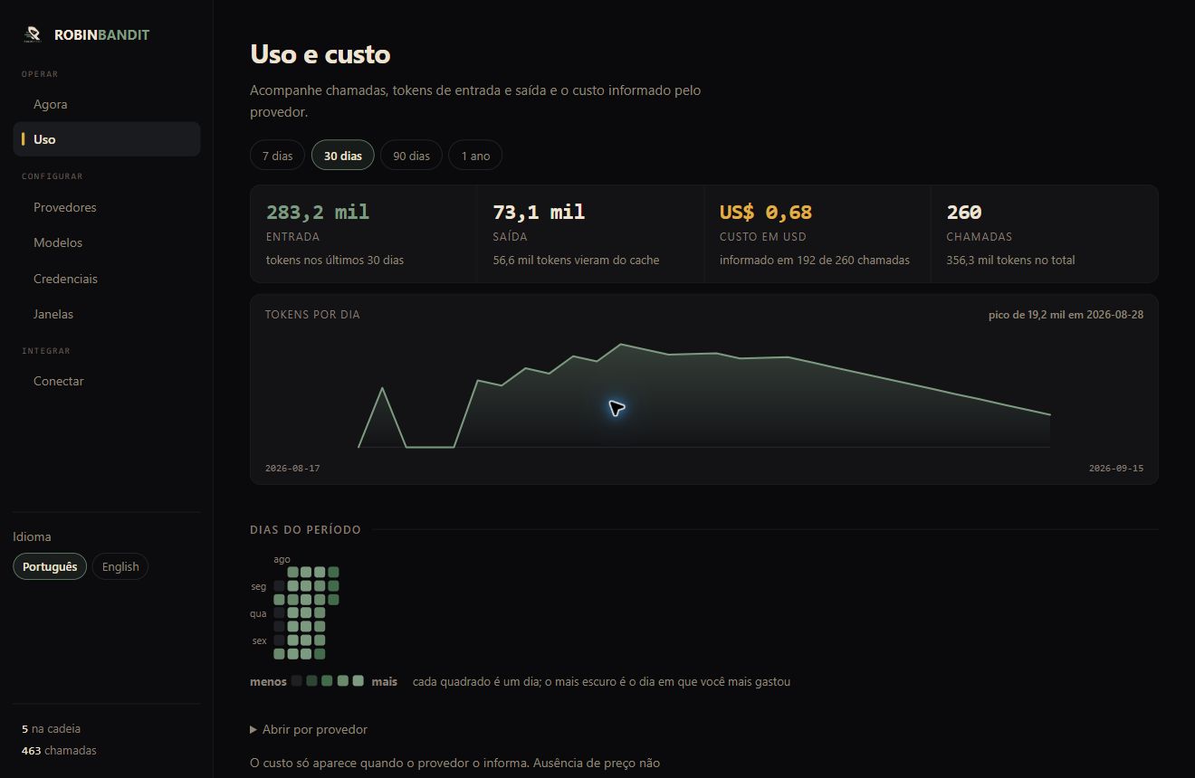 Usage panel with input tokens, output tokens, cost and calls